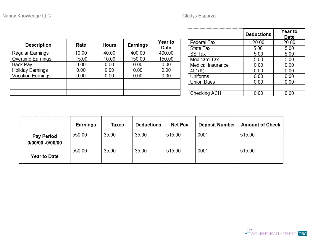 Download Nanny Knowledge LLC pay stub Word and PDF template Photoshop template